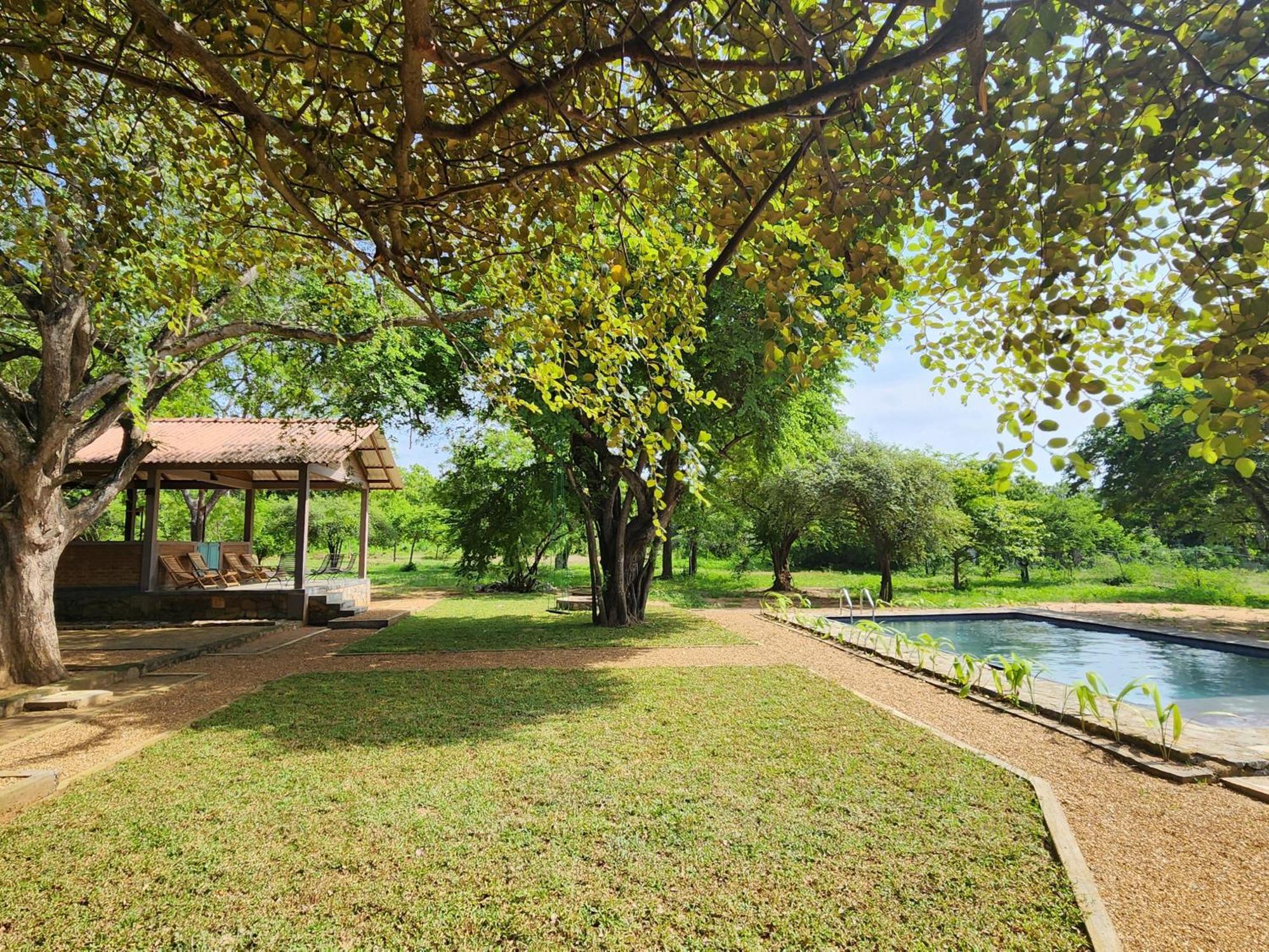 Hide Yala Bed & Breakfast Tissamaharama Exterior photo