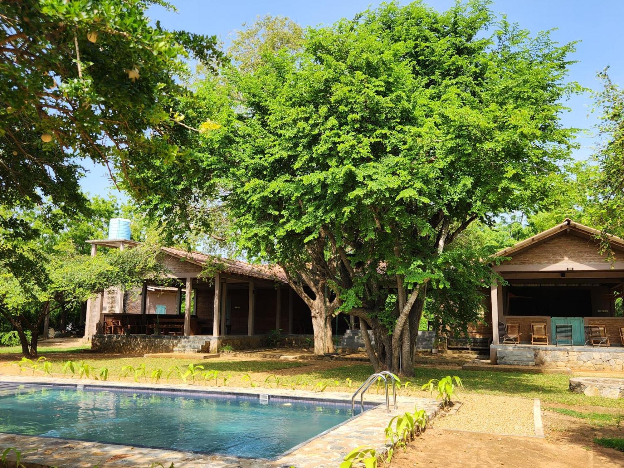 Hide Yala Bed & Breakfast Tissamaharama Exterior photo